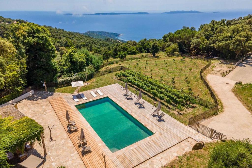 - une vue sur la piscine située dans un vignoble dans l'établissement Relais du vieux sauvaire, au Lavandou