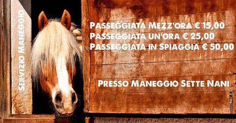 Сертификат, награда, вывеска или другой документ, выставленный в A CASA NOSCIA - BB SAN PIETRO IN BEVAGNA Charming house
