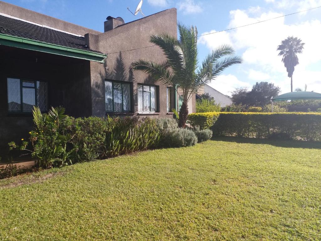 a house with a palm tree in front of a yard at The Best Green Garden Guest House in Harare in Harare