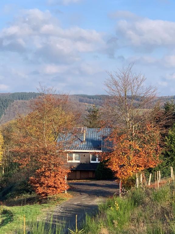 a house on the side of a hill at Waldhaus Wangen in Burg-Reuland