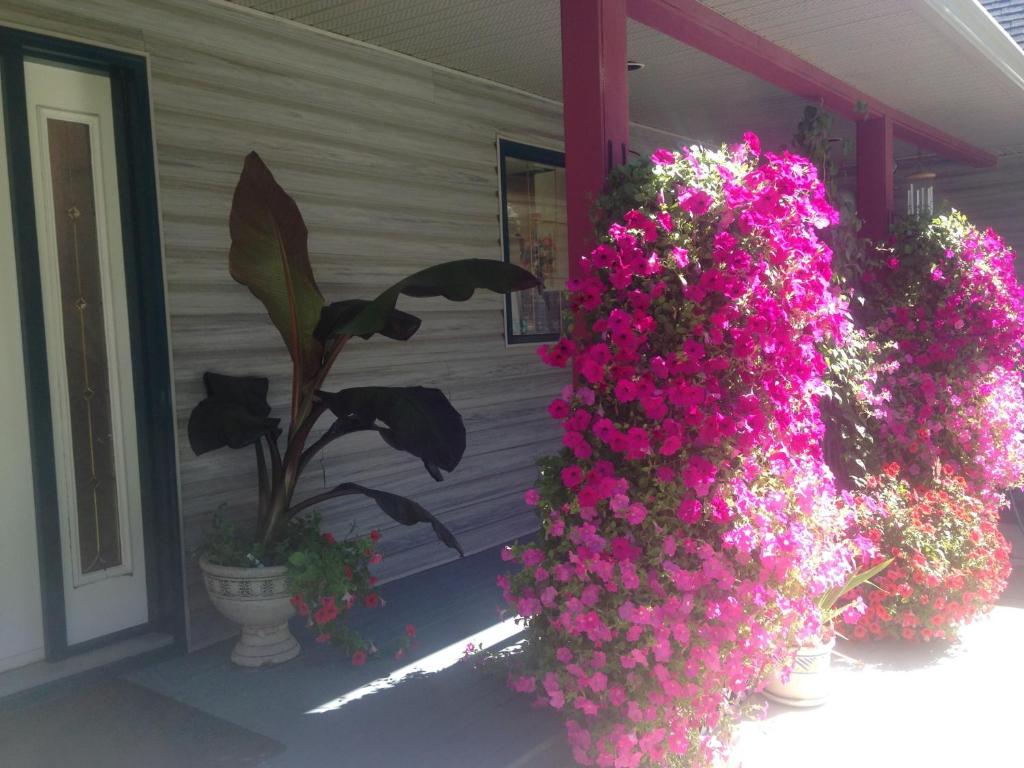 En hage utenfor Eagle's Nest B&B