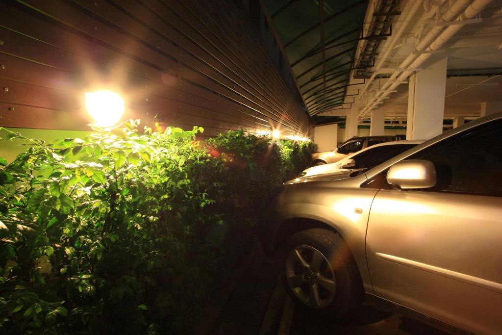 Pattara Place - Resim 19