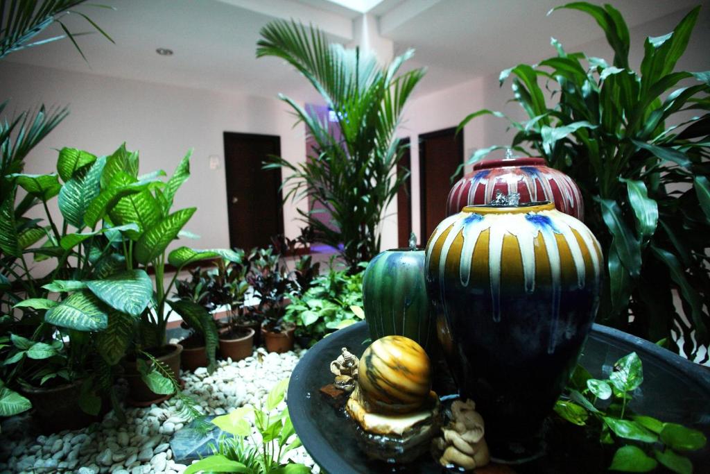 Pattara Place - Resim 18