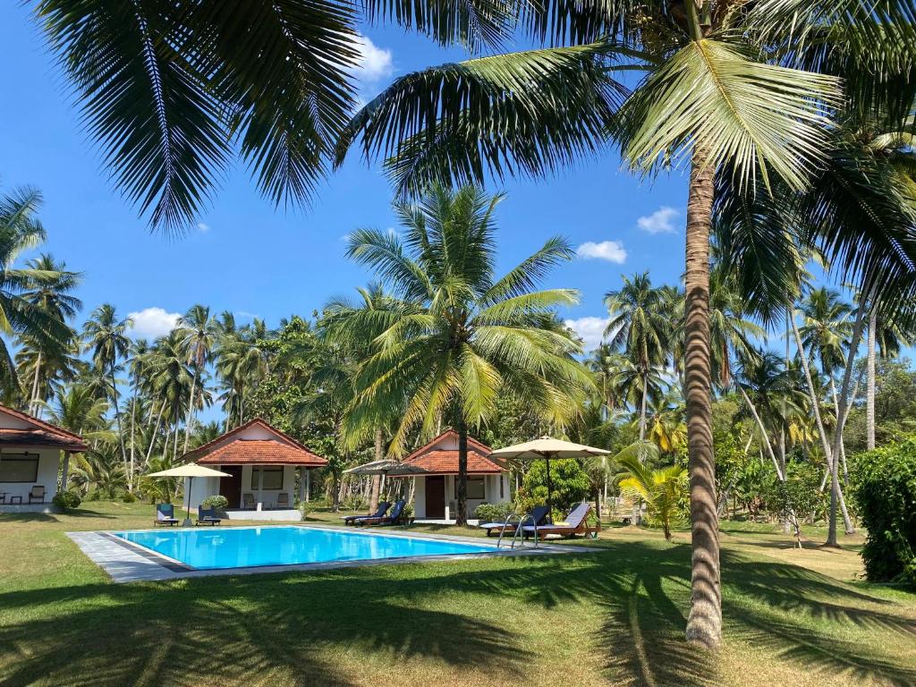 eine Villa mit einem Pool und Palmen in der Unterkunft Ambarella Lodge - Katunayake in Hunumulla