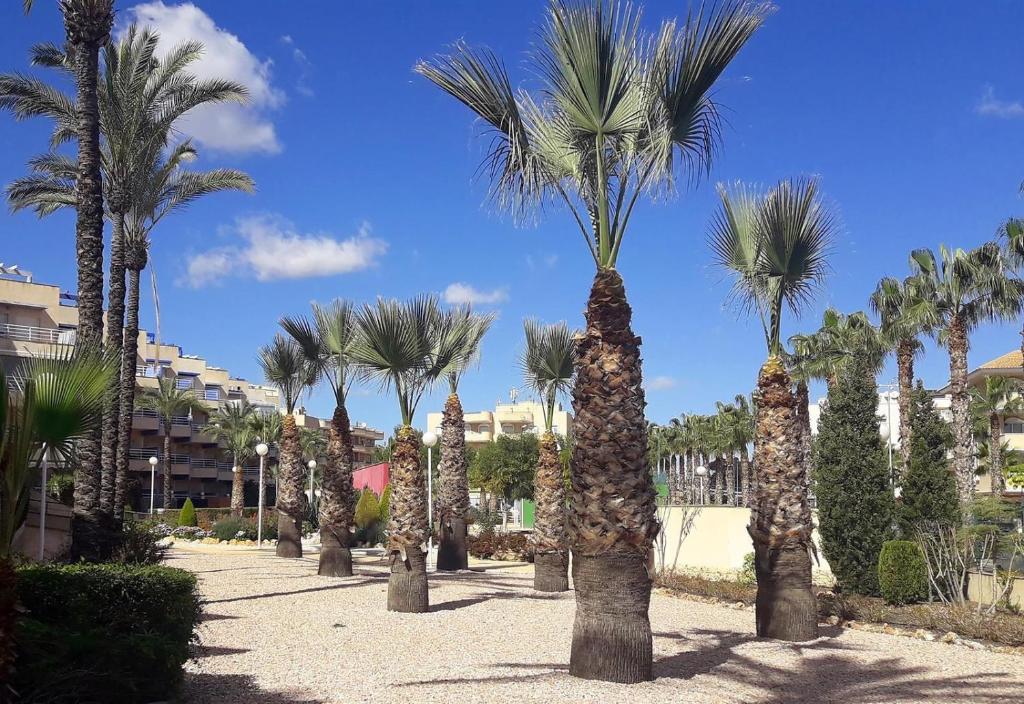 Fotografie z fotogalerie ubytování Two bedroom seafront apartment v destinaci Cabo Roig