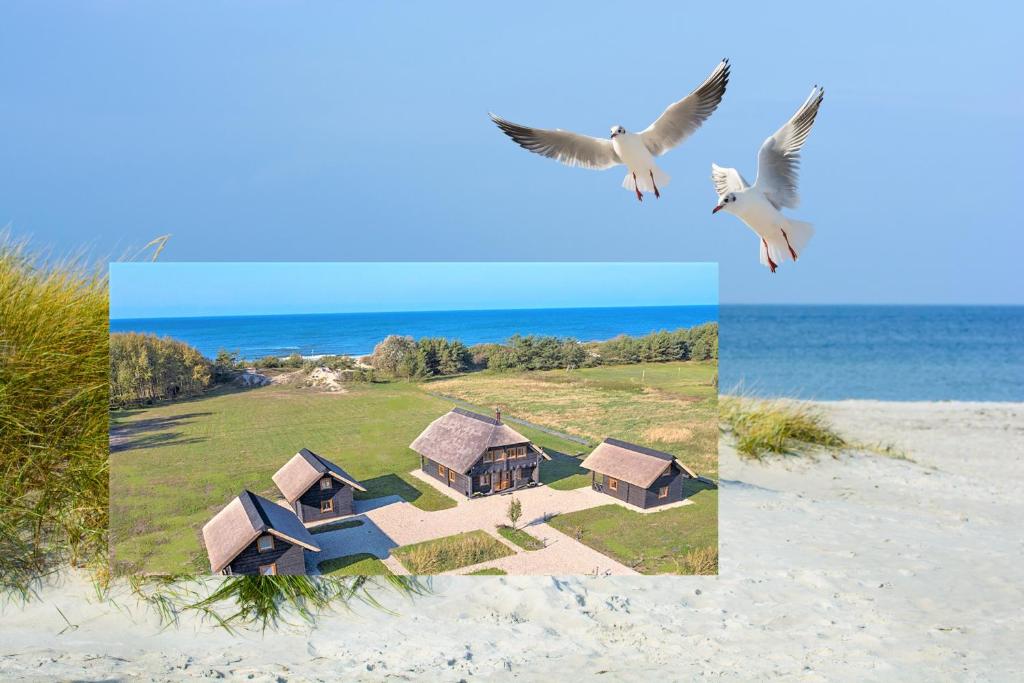 un pájaro volando sobre una casa en la playa en KOPUVA en Nida