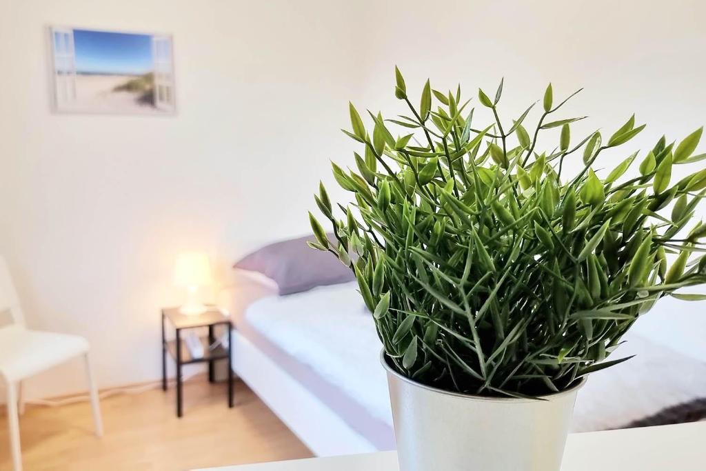 a potted plant sitting on a table next to a bed at 3 room apartment in Hagen Eilpe in Hagen