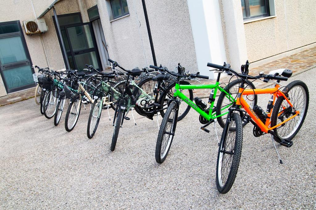 Jízda na kole v ubytování Pennaluce nebo okolí