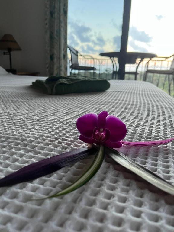 Balkón nebo terasa v ubytování Hotel Los Cielos Del Caribe