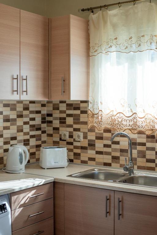 Kuchnia lub aneks kuchenny w obiekcie Nikos & Vassilis apartments Kefalonia
