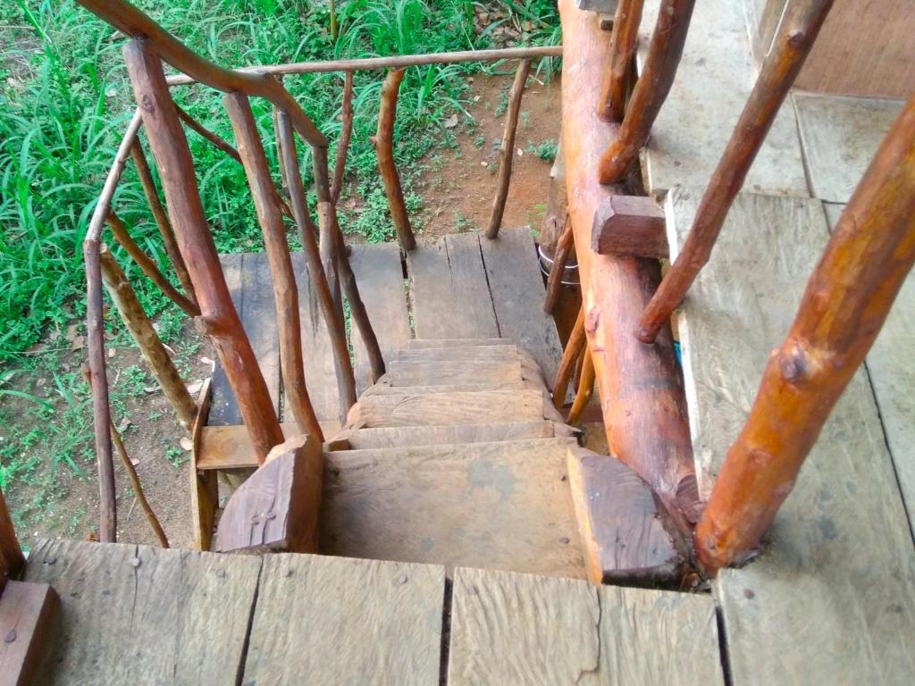 Fotografie z fotogalerie ubytování Akash Treehouse v destinaci Sigiriya