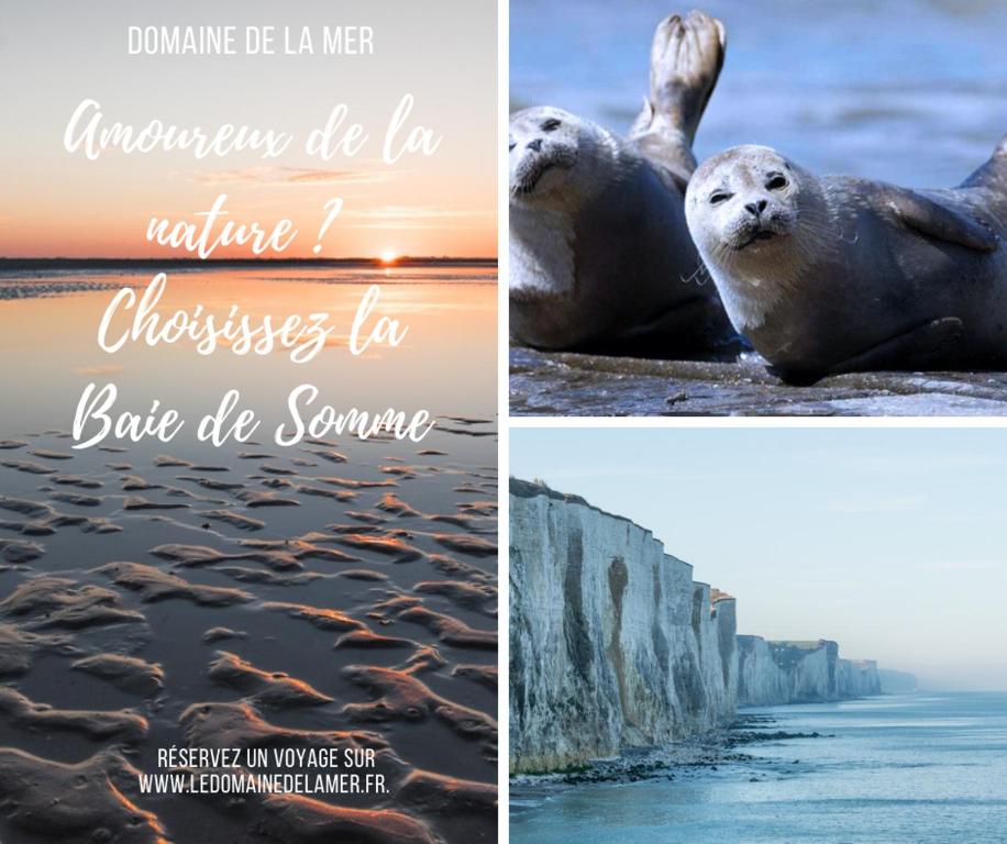Domaine de la Mer - Habitación Doble