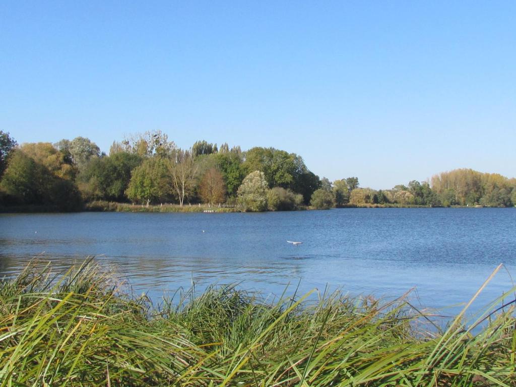 a lake with a bird in the middle of it at Au Bord de L'Eau in Écluzelles
