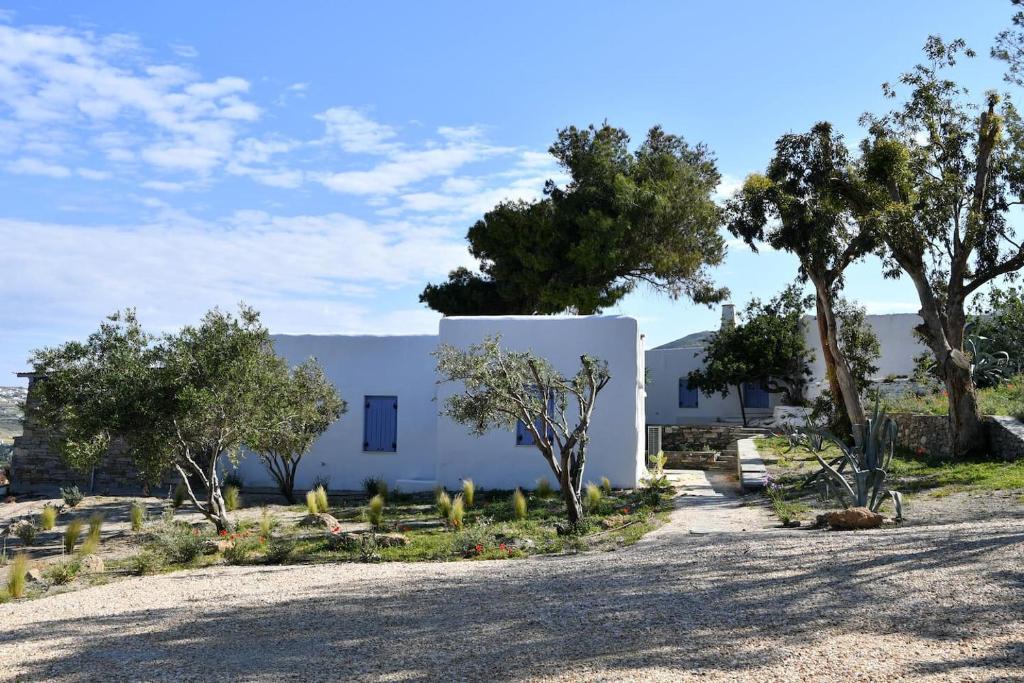 Zahrada ubytování Orasea Villa with private pool