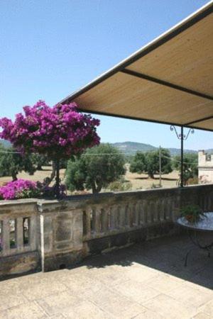 Balkón nebo terasa v ubytování Masseria Salamina