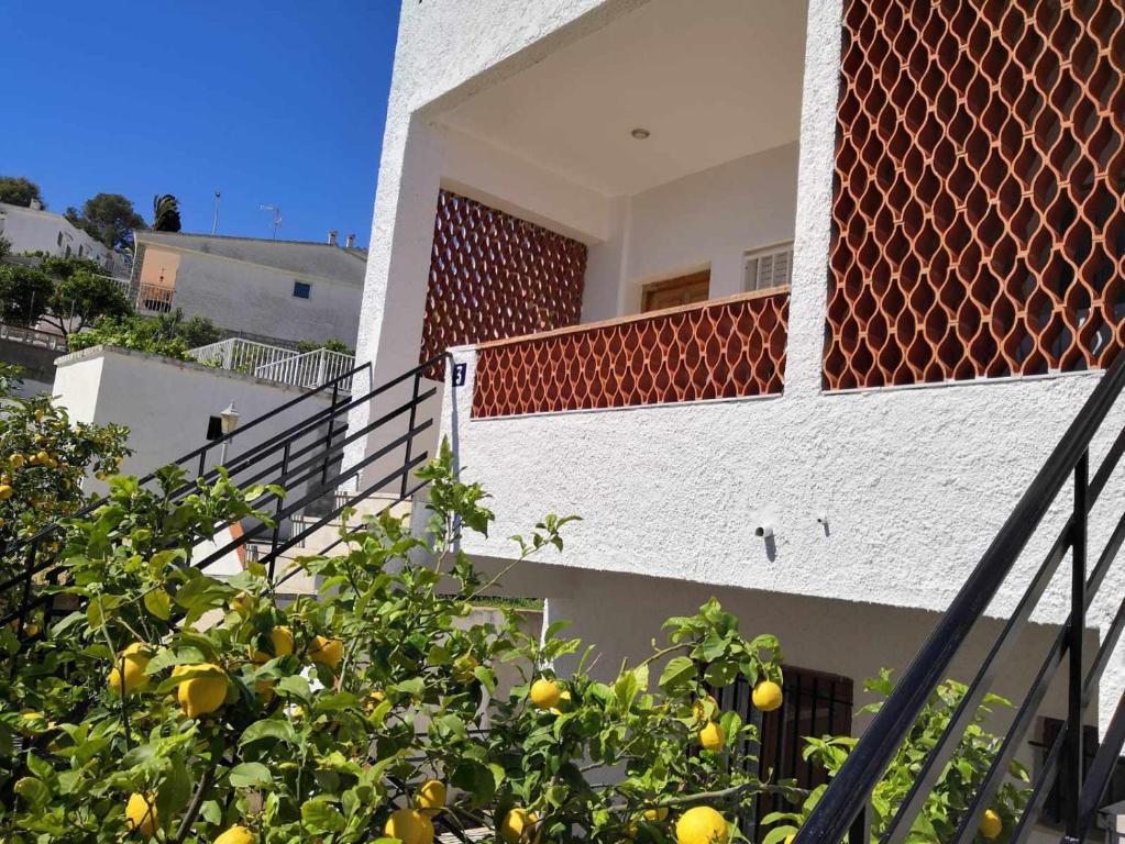 Fotografie z fotogalerie ubytování A H RENTALS Casa Rovira apto 3 v destinaci Peñíscola