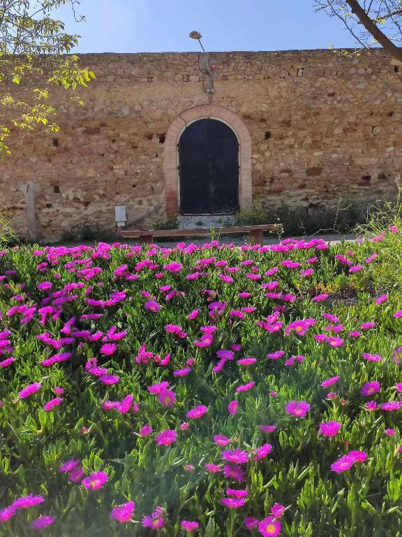 Photo from FINCA LAS ROSAS DE SANTA ANA in Villamartín, Andalucía, Spain