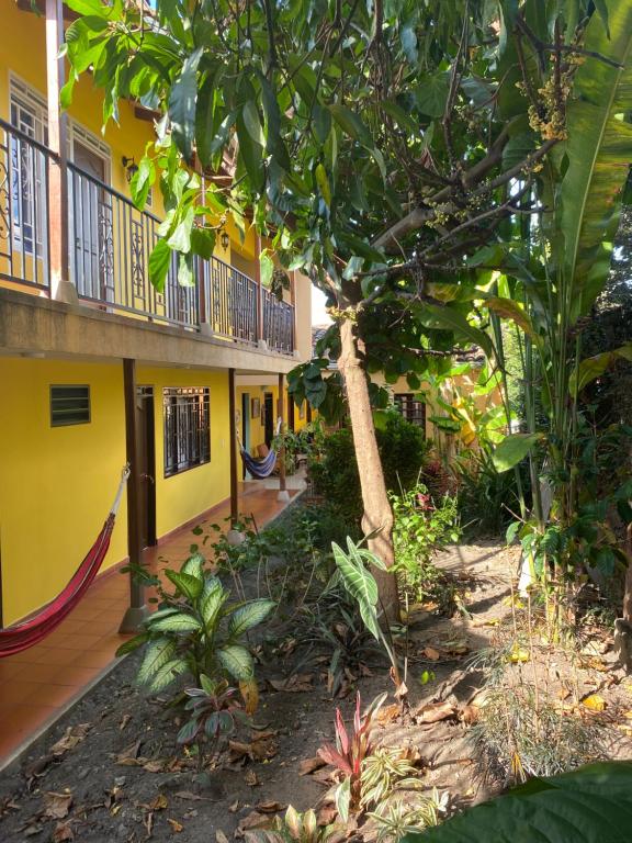 un patio de un edificio con un árbol y una hamaca en La Rosa Buga, en Buga