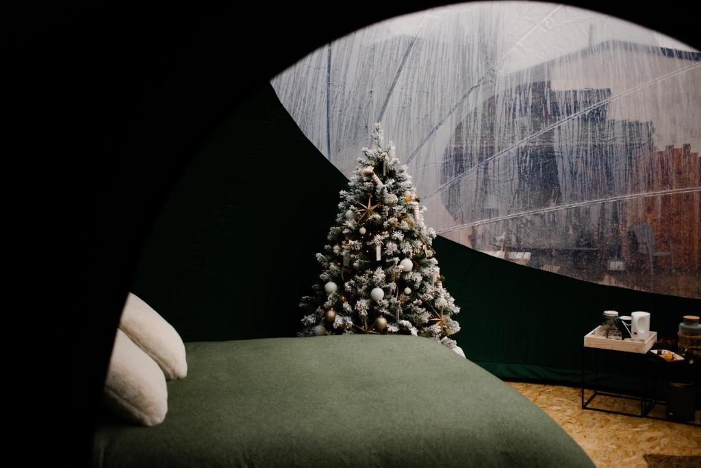 Un árbol de Navidad sentado en la parte superior de un sofá verde en Bulle Time Flies - logement insolite, en Bouillon