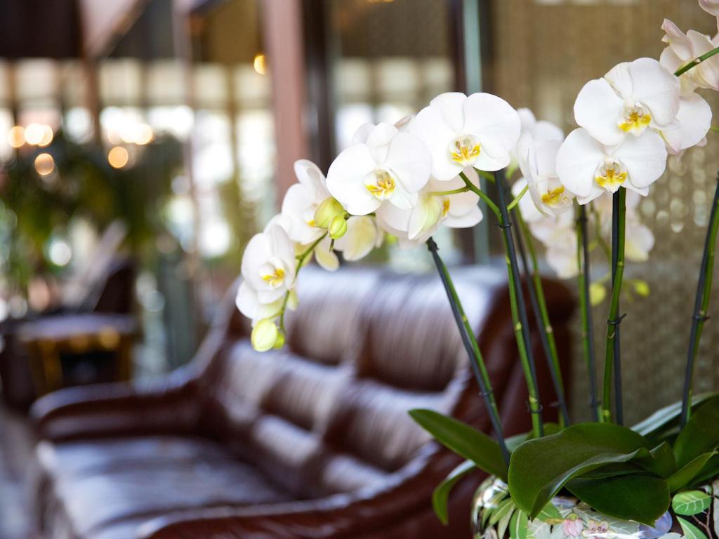 Posezení v ubytování Hotel Garni Geisler