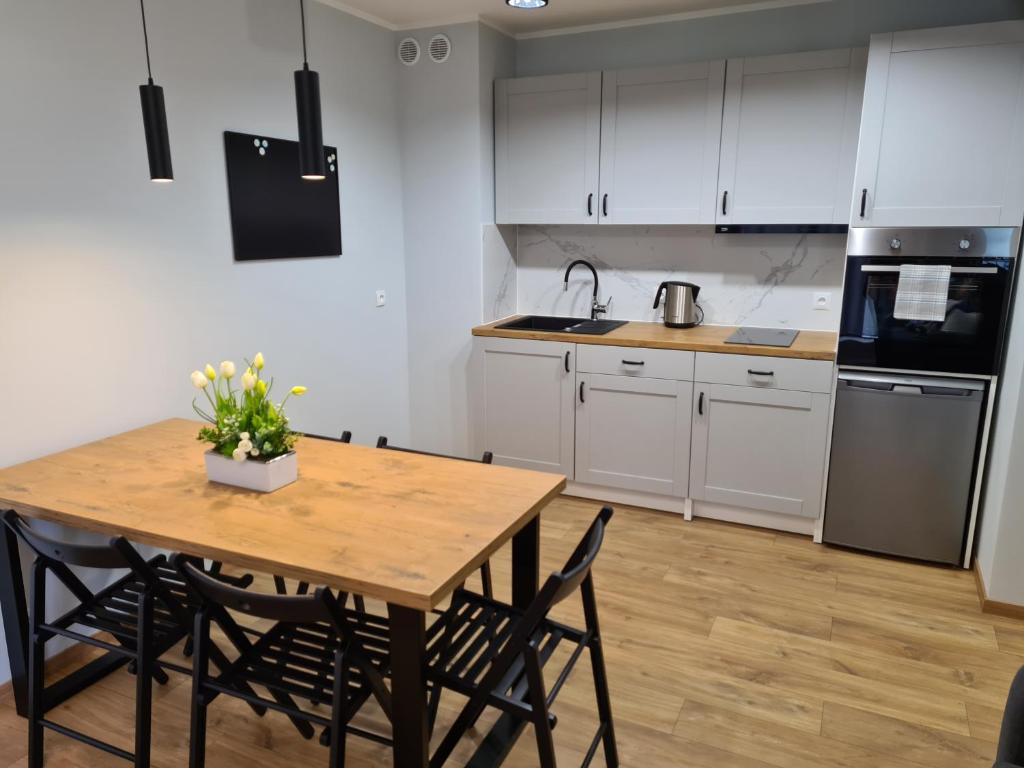 Η κουζίνα ή μικρή κουζίνα στο Apartament Mickiewicza