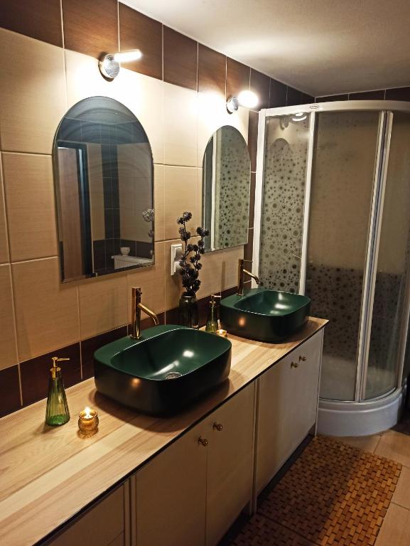 Kúpeľňa v ubytovaní Apartamencik za lasem