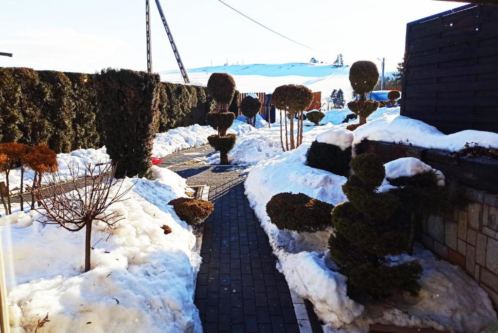 Príroda v okolí apartmánu