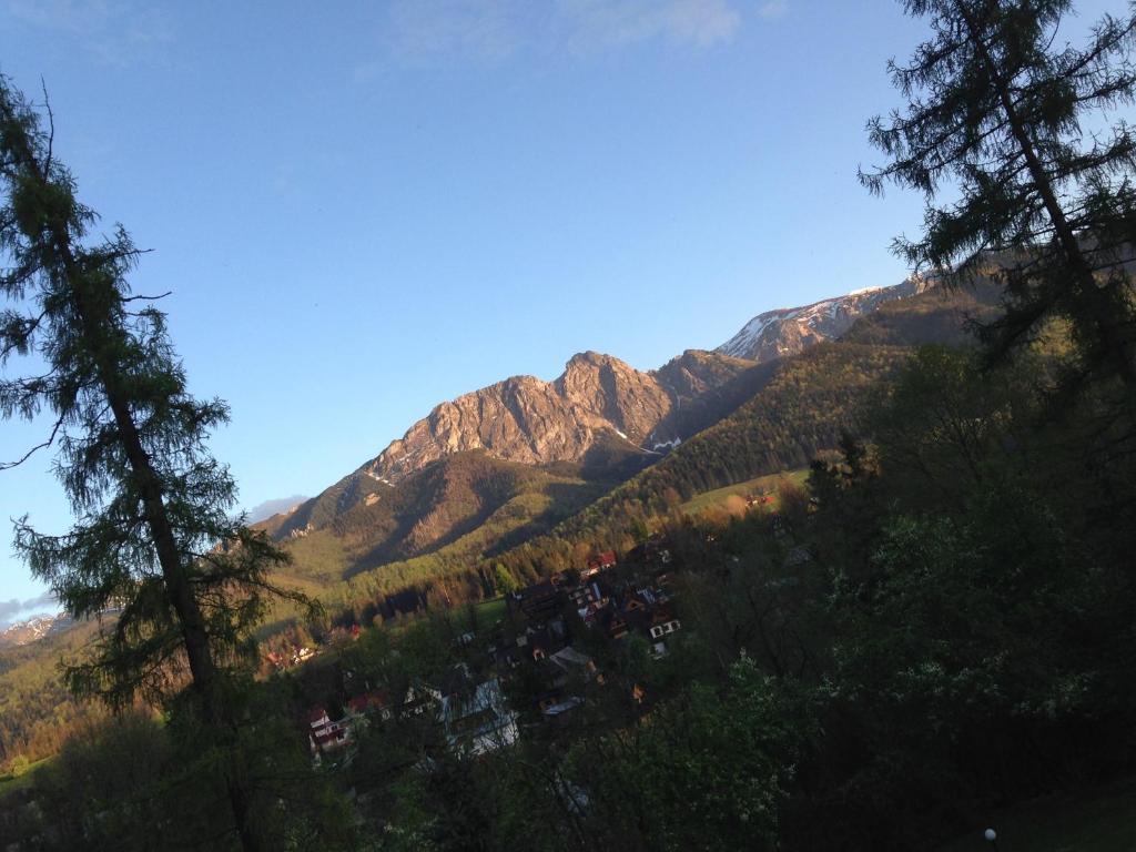 a view of a mountain with trees in the foreground at B&B Art House Szymaszkowa 1 in Zakopane