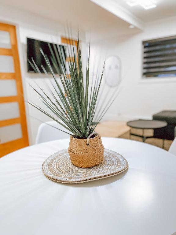 a potted plant sitting on top of a table at Complexe LIVTremblant by Gestion ELITE - LIV6 in Mont-Tremblant