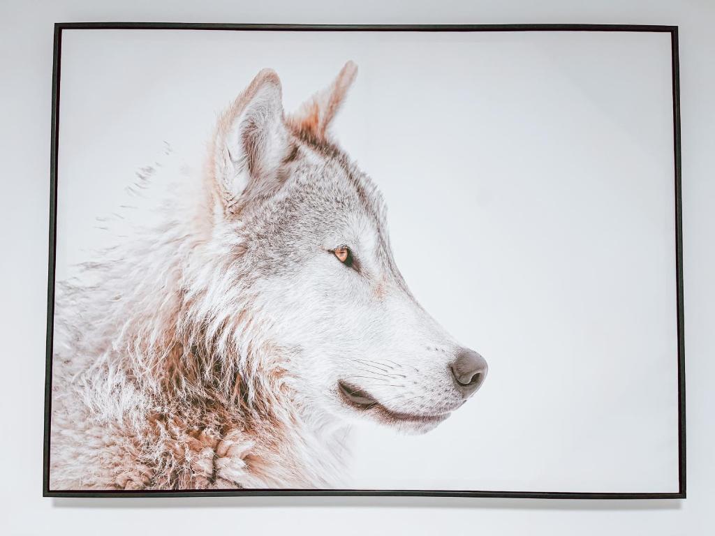 a close up of a white wolf head at Complexe LIVTremblant by Gestion ELITE - LIV6 in Mont-Tremblant