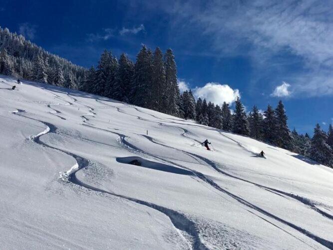 Holiday flat Daniela, Hippach im Zillertal v zime