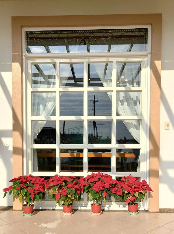 a window with red flowers in pots in front of it at Fish House 宜蘭獨棟別墅 戲水池 生態DIY 安農溪自行車 in Dongshan