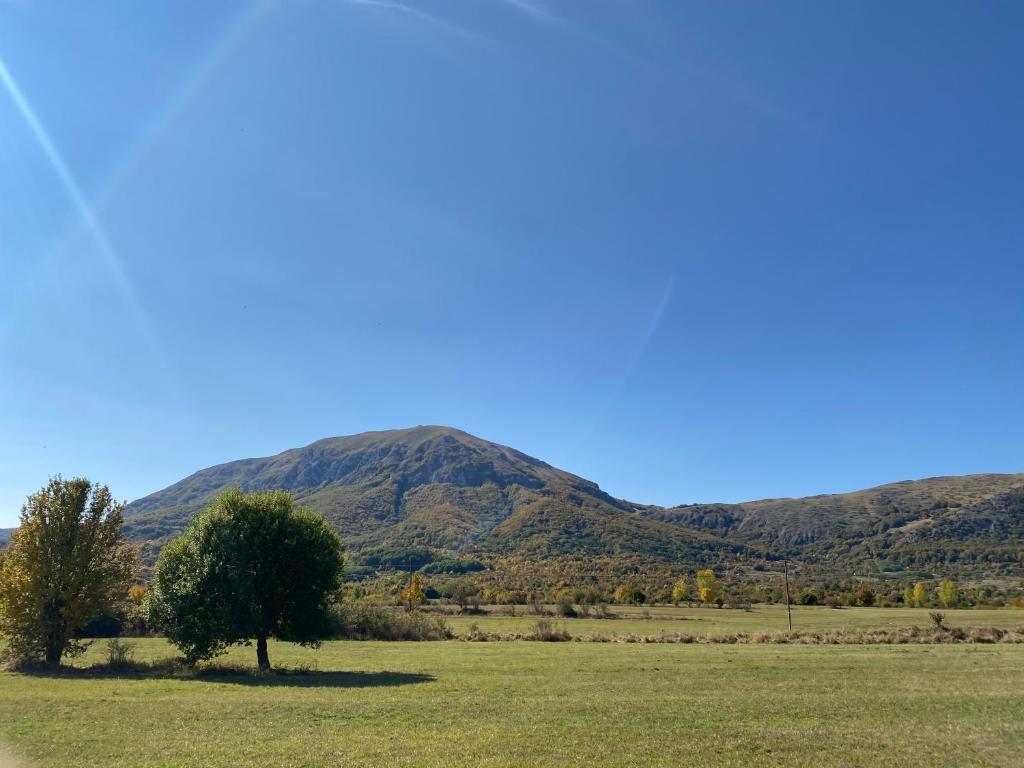 un árbol en un campo con montañas en el fondo en Appartamento con Giardino - Rocca di Mezzo, en Rocca di Mezzo
