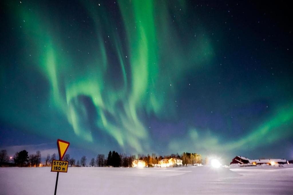 an aurora in the sky with a sign in the snow at Malgomajgården 1 in Vilhelmina