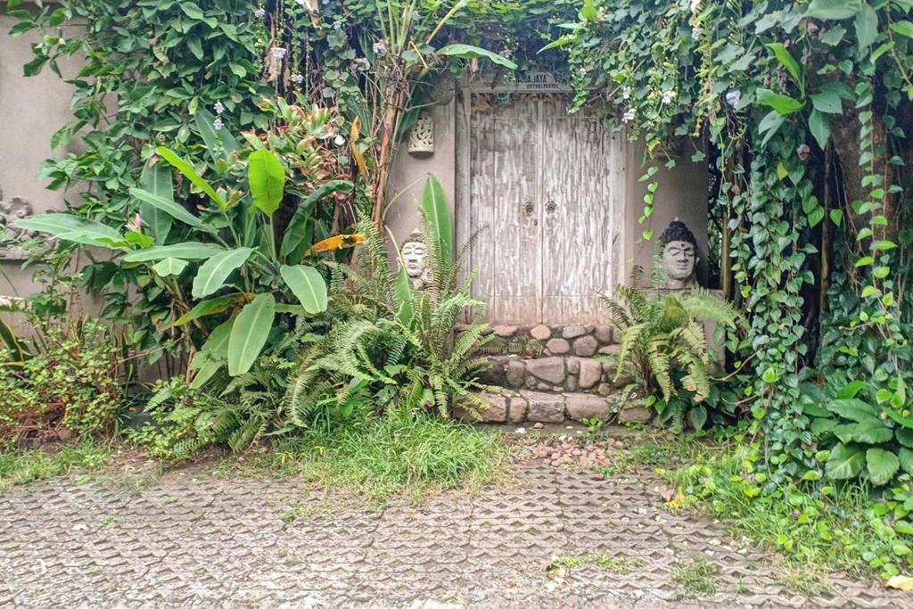 Zahrada ubytování Pranajaya Villa