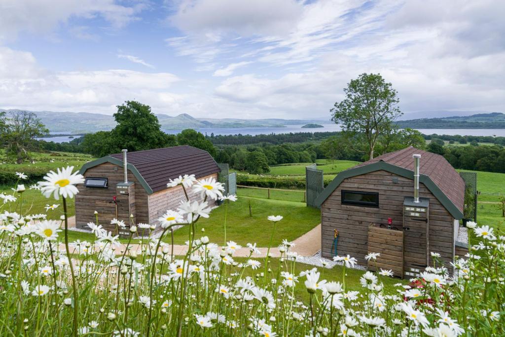 two barns in a field of flowers at Bonnie Barns - Luxury Lodges with hot tubs in Luss