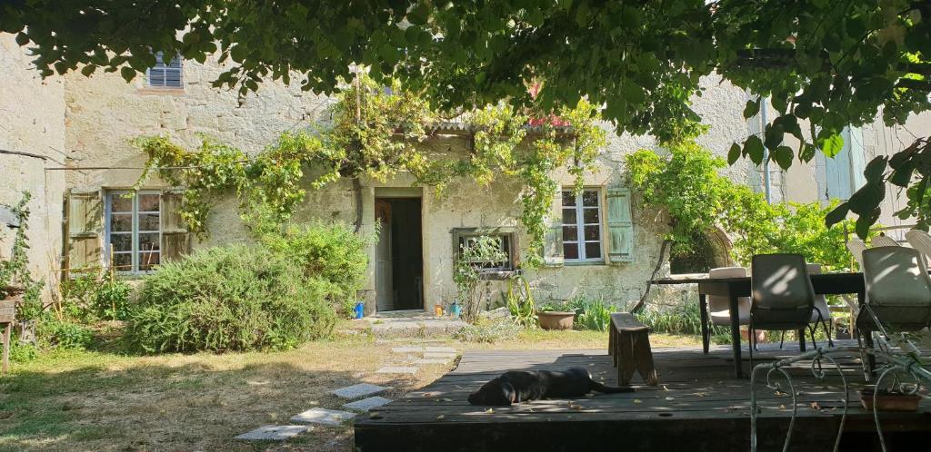 un perro tirado en el suelo frente a una casa en 2 jolies maisons atypiques, vue sur le lac de Bajamont, en Bajamont