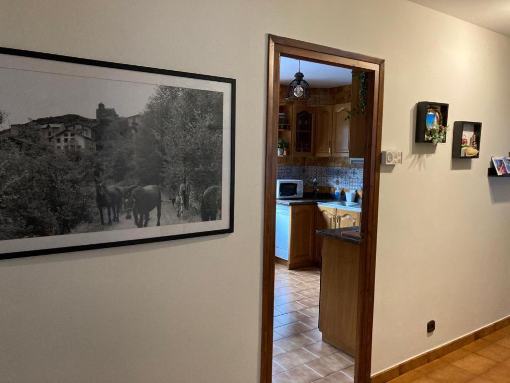 Kuchyň nebo kuchyňský kout v ubytování Apartament turistic Pont d’Ordino