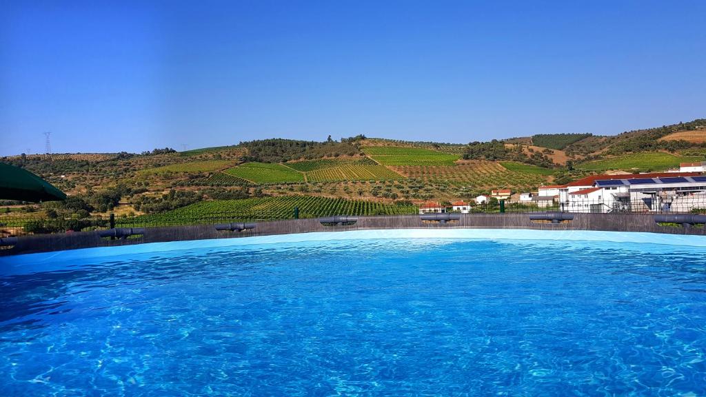 a large swimming pool with a view of a vineyard at Casa das Lajes - Alojamento Local in Vila Nova de Foz Coa