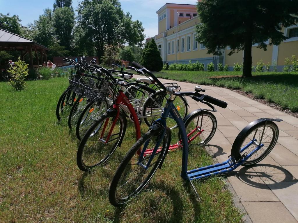Jízda na kole v ubytování Monti Spa nebo okolí