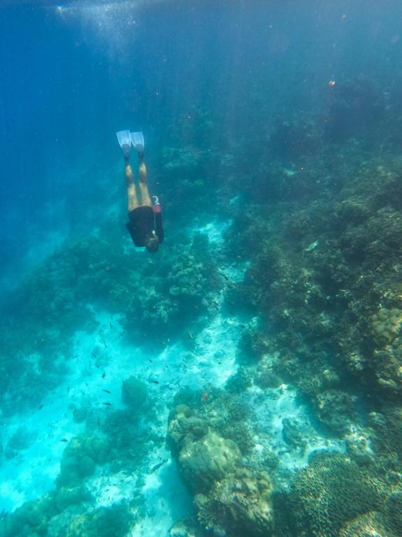 BodufolhudhooにあるPaguro Seaviewのギャラリーの写真