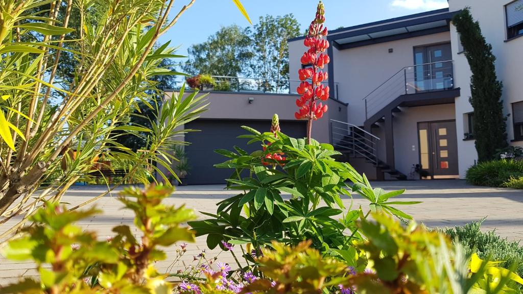 Ein Haus mit einem Blumenstrauß im Hof. in der Unterkunft A l'Ancien Moulin in Lampertheim