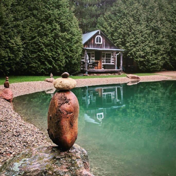 Πισίνα στο ή κοντά στο A rustic cabin in the woods