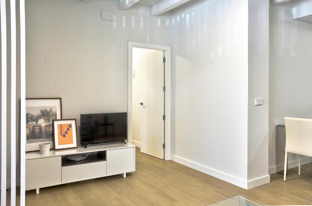 TV a/nebo společenská místnost v ubytování Apartamento de dos dormitorios en Triana