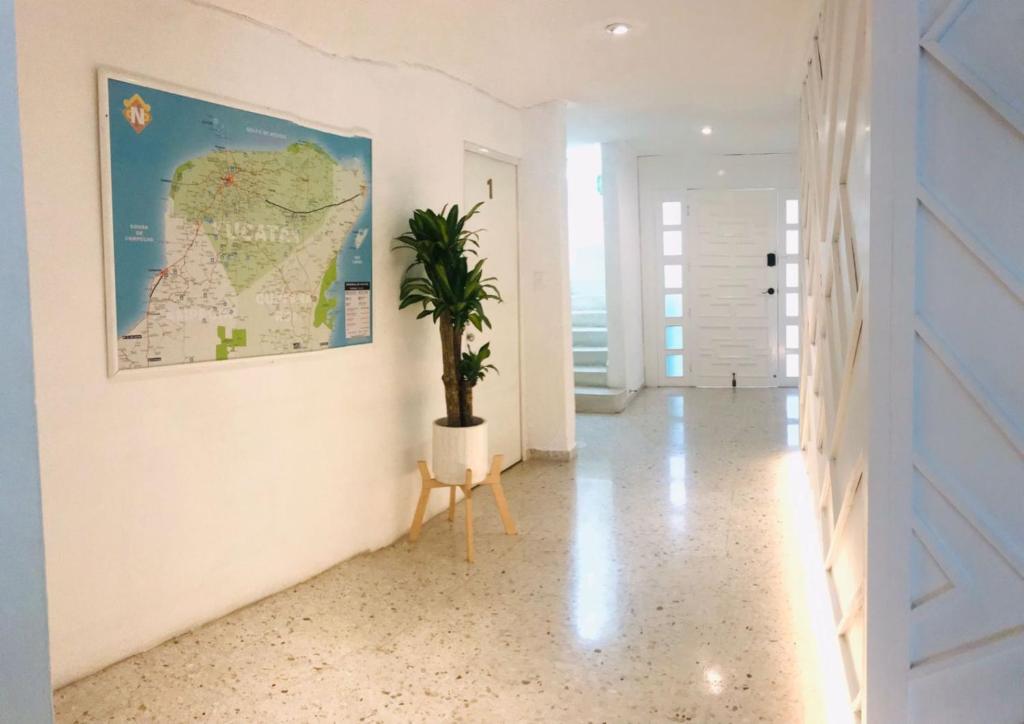 Fotografie z fotogalerie ubytování Hotel Downtown Merida v destinaci Mérida