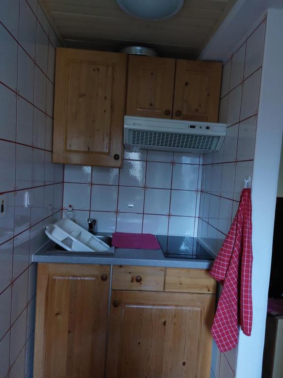 eine kleine Küche mit Holzschränken und einem Waschbecken in der Unterkunft Apartment Stefka in Kranjska Gora