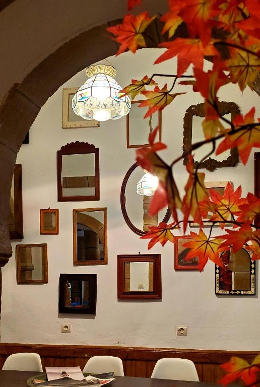 Fotografie z fotogalerie ubytování Atlantic Hostel v destinaci Essaouira
