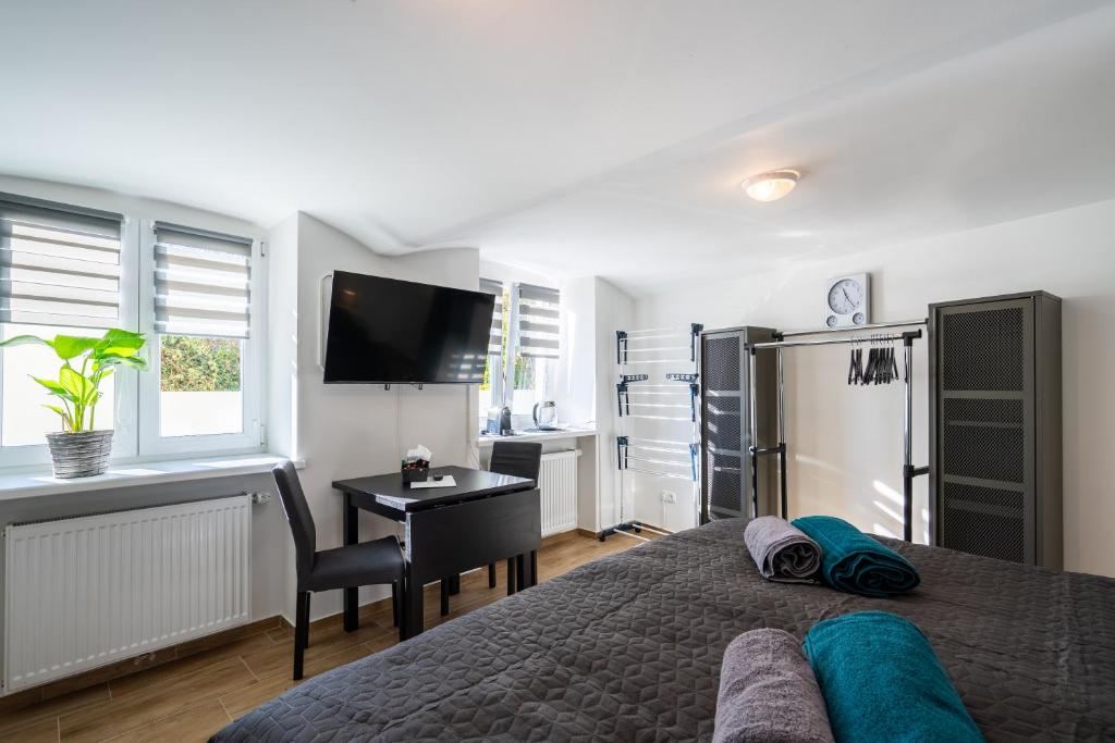 TV a/nebo společenská místnost v ubytování revLIVING Apartments Eggenburg