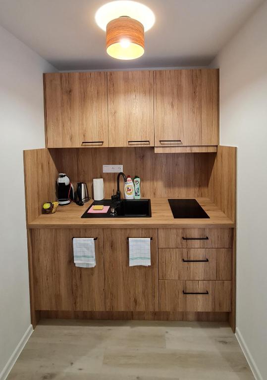A kitchen or kitchenette at Apartmán FILIP