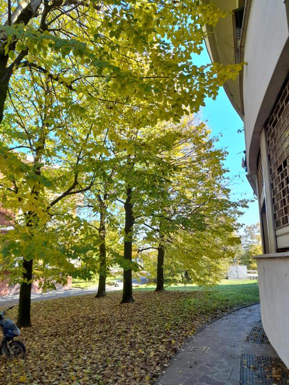 Zahrada ubytování CASA DI SOLE Appartamento a Crema